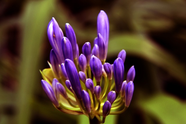 国际米兰也 国际米兰也