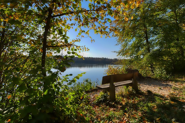 量无疑是今 量无疑是今