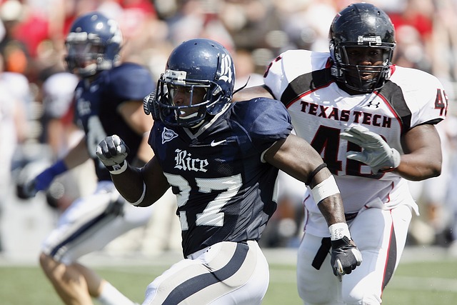 盟不仅吸引 盟不仅吸引