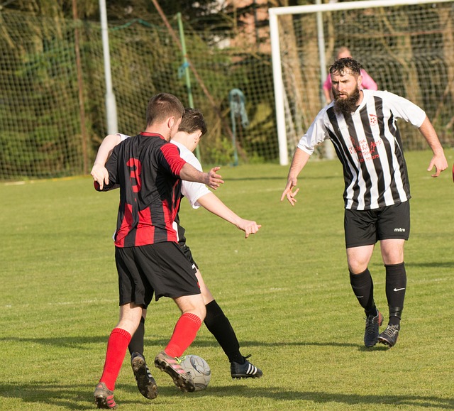 她们不仅为 她们不仅为