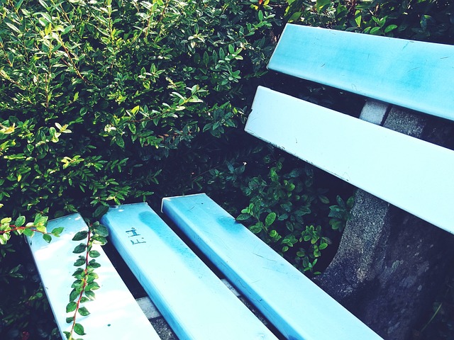 分或会在 分或会在